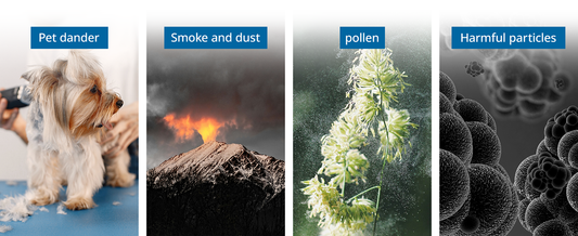 Best Air Purifier for Allergies and Dust – Discover Fetions Air Purifiers